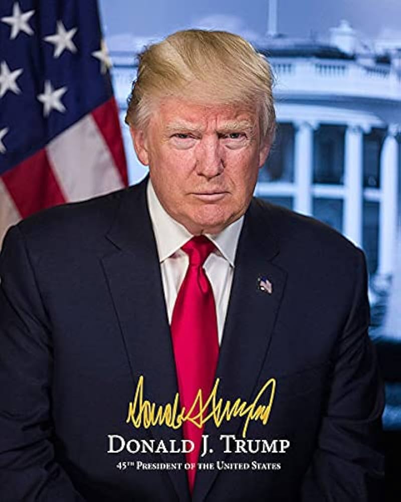 アメリカ大統領【ドナルド・トランプ】サインプリントフレーム証明書付 3 アメリカ大統領【ドナルド・トランプ】サインプリントフレーム